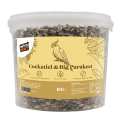 Cockatiel & Big Parakeet Bucket