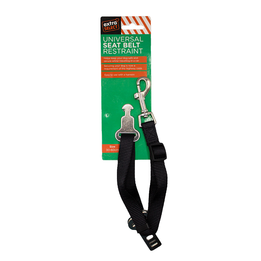 Universal Seat Belt Restraint