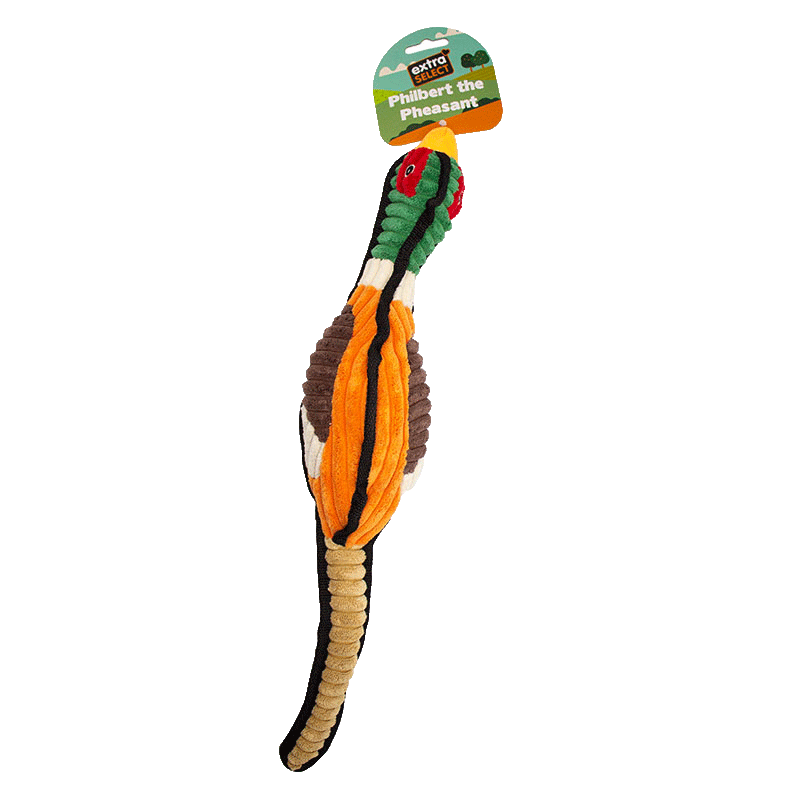 Philbert the Pheasant Plush Dog Toy - 6 Pack