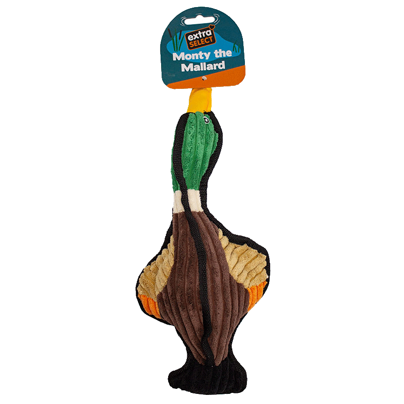 Monty the Mallard Plush Dog Toy - 6 Pack