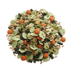 Large Pea Rabbit Mix