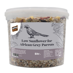 Low Sunflower For African Grey Parrots Bucket