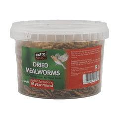 Dried Mealworms
