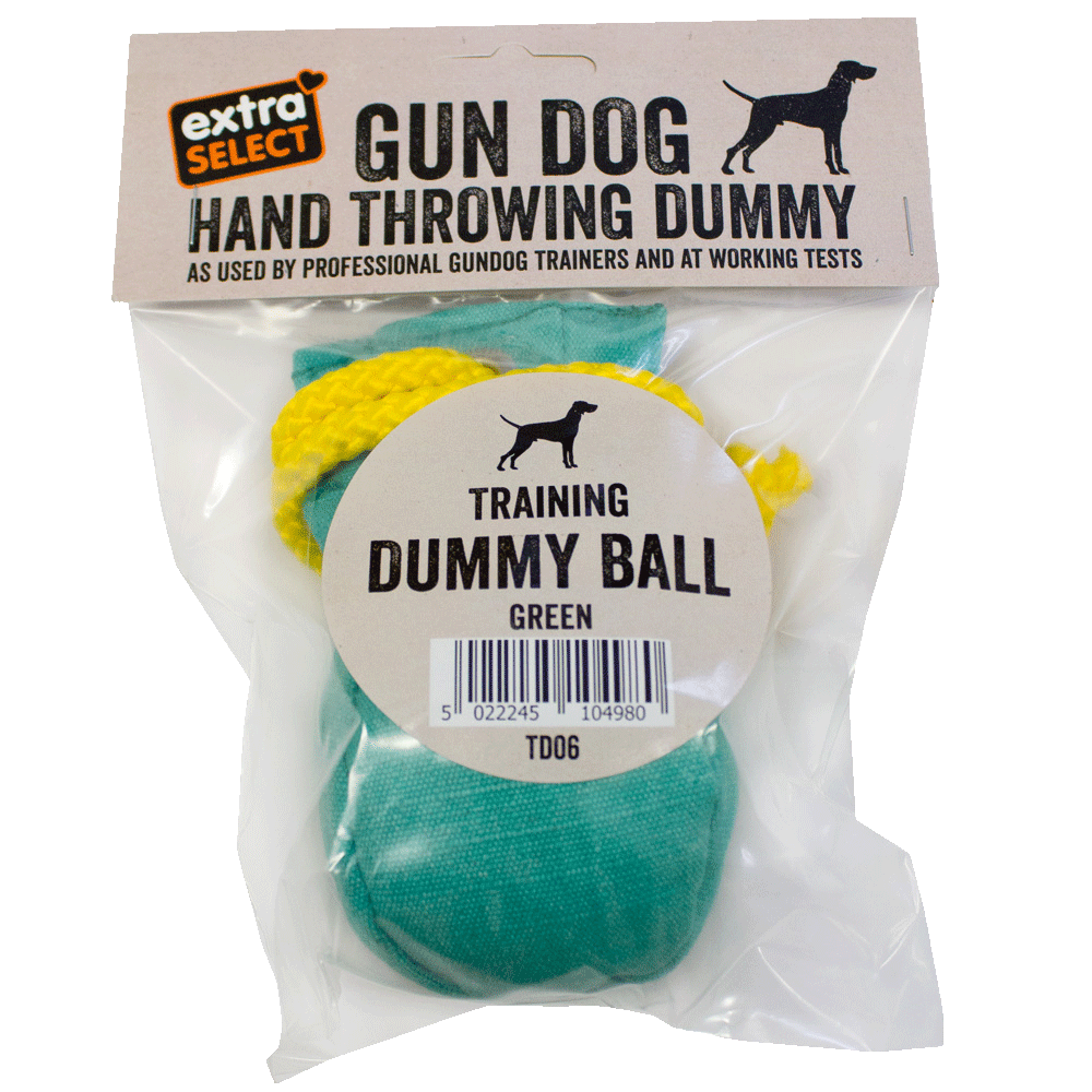 Training Dummy Ball Green