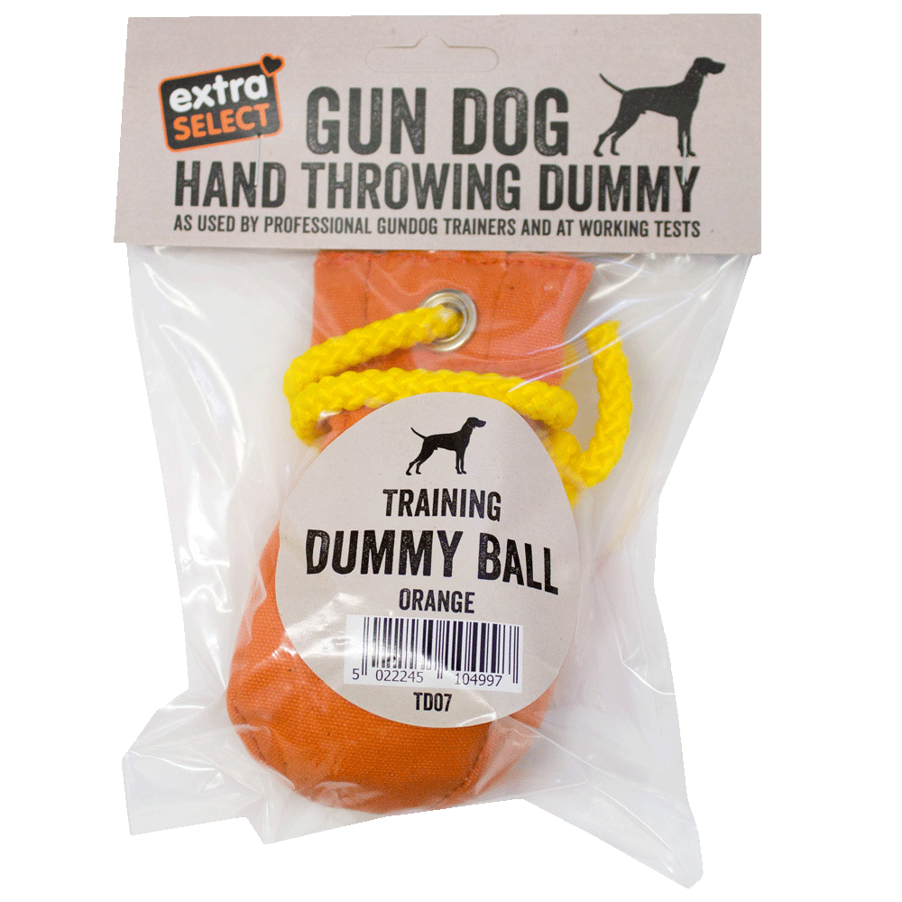 Training Dummy Ball Orange
