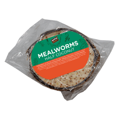 Mealworm Half Coconut