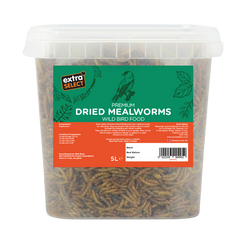 Dried Mealworms