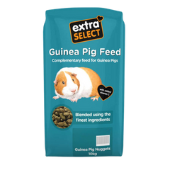 Guinea Pig Nuggets