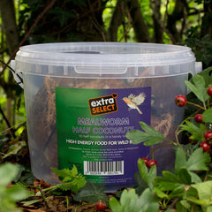 Extra Select Suet Coconut bucket for wild birds