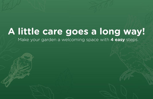 Supporting Our Garden Birds: A Guide to Year-Round Care