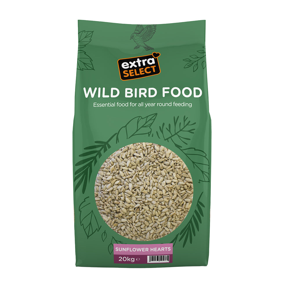 Sunflower Hearts