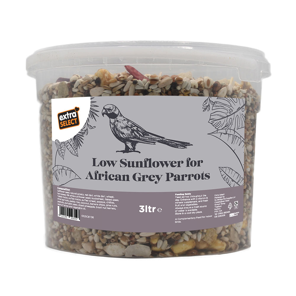 Low Sunflower For African Grey Parrots Bucket