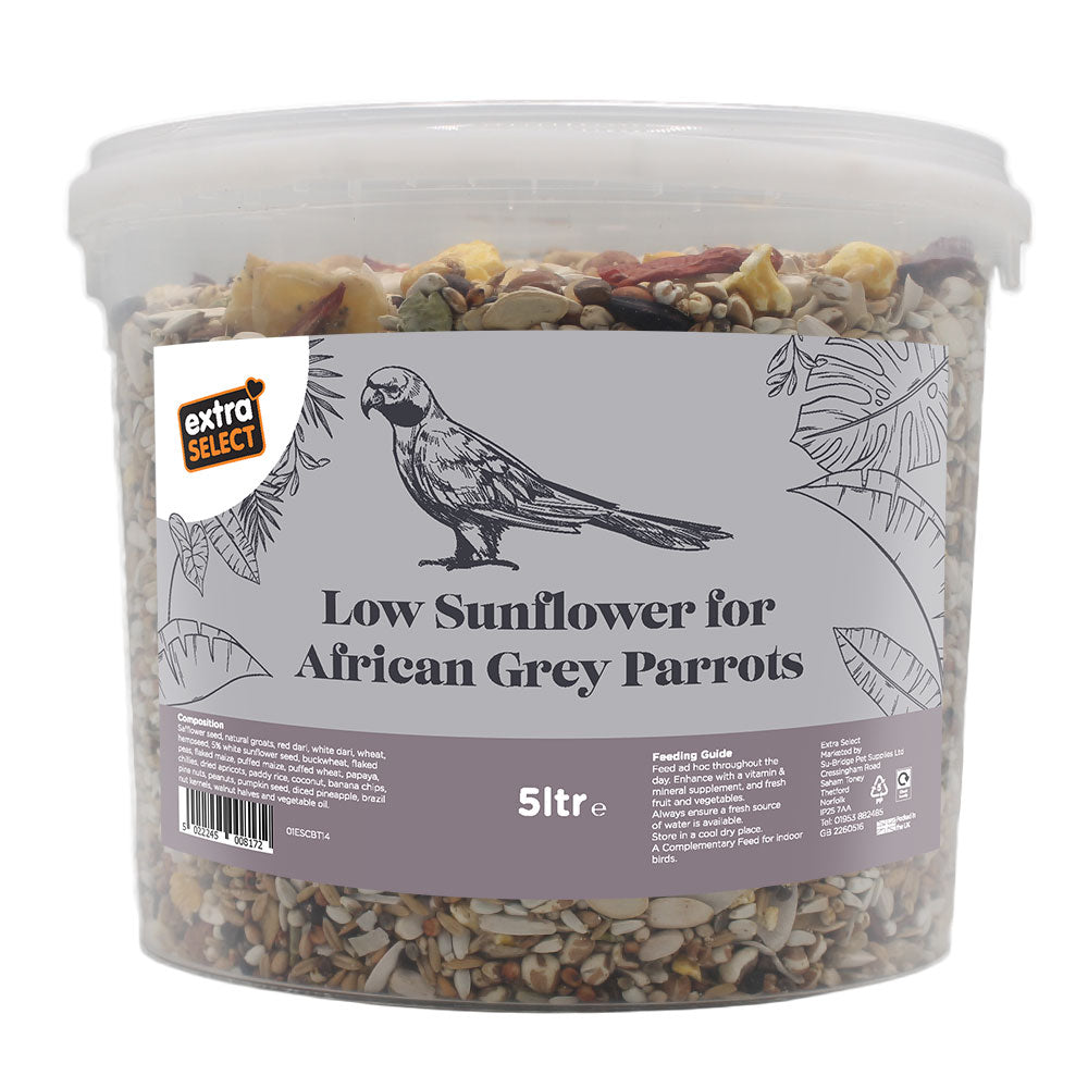 Low Sunflower For African Grey Parrots Bucket