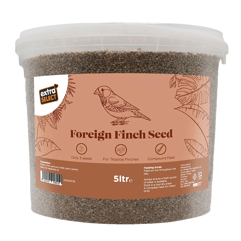 Foreign Finch Seed Bucket