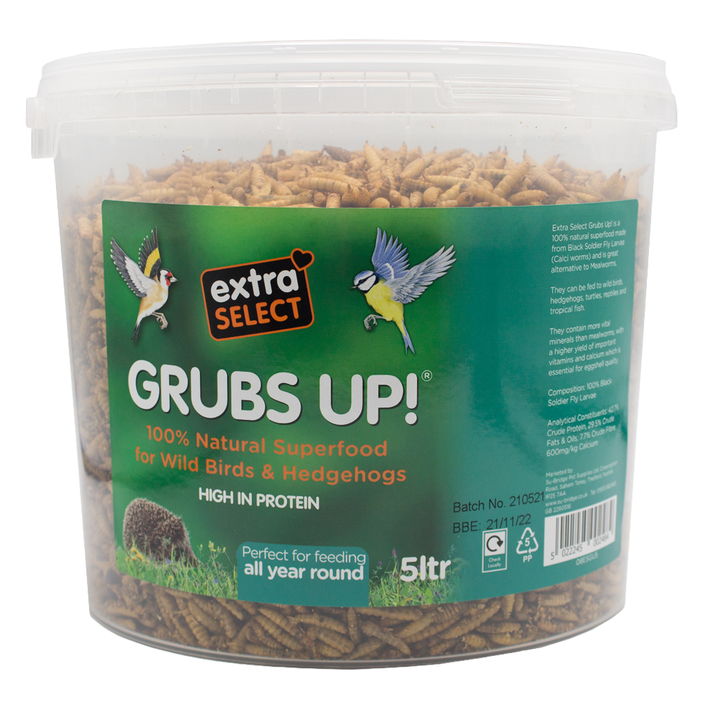 Grubs Up
