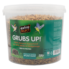 Grubs Up