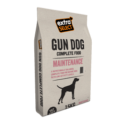Gun Dog Maintenance
