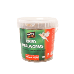 Dried Mealworms