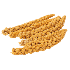Millet Sprays