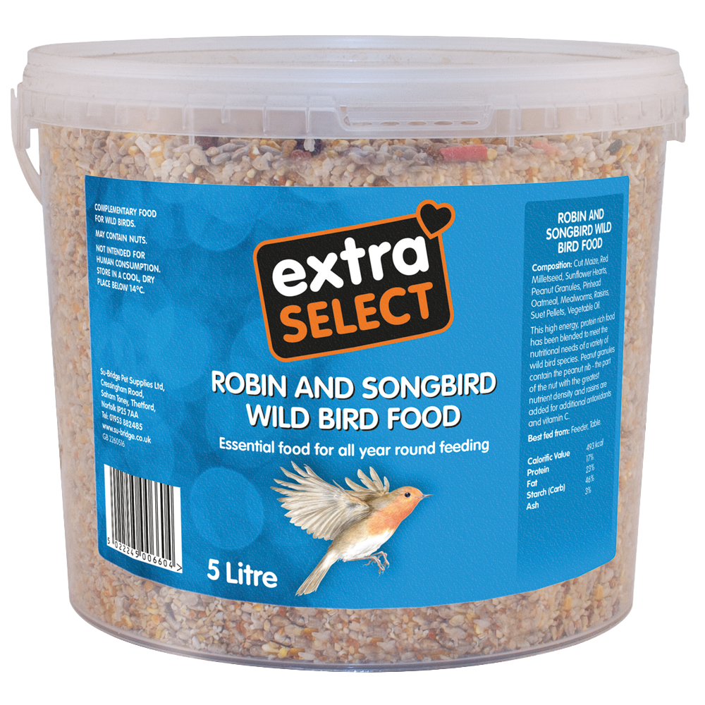 Robin & Songbird Bucket