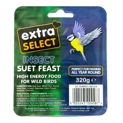 Insect Suet Block