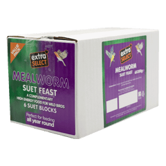 Mealworm Suet Block
