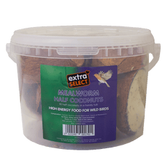 Half Coconuts In Tub - Mealworm