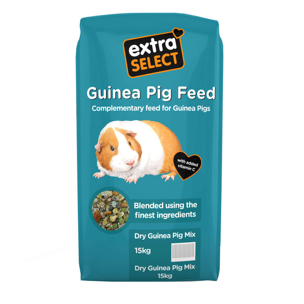 Stunning Conjoined Food Accidentally Dried Guinea Pig image