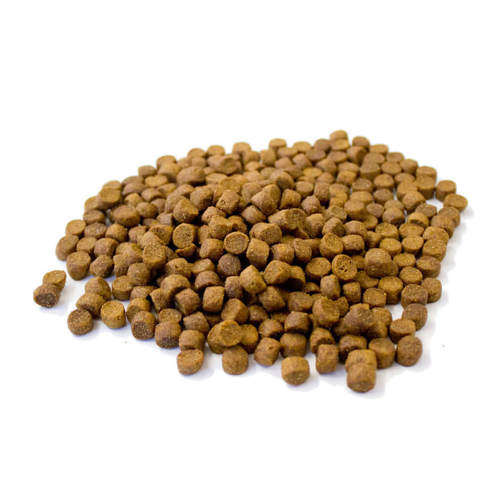 Extra Select Premium Dry Hedgehog Dinner kibble