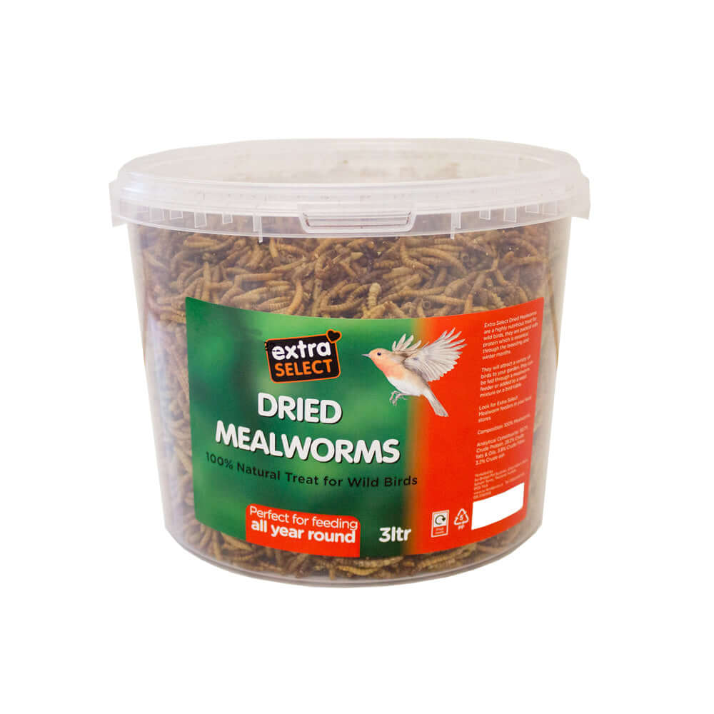 Extra Select Mealworms in a tub 1 litre