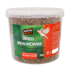 Extra Select Mealworms in a tub 5 litre