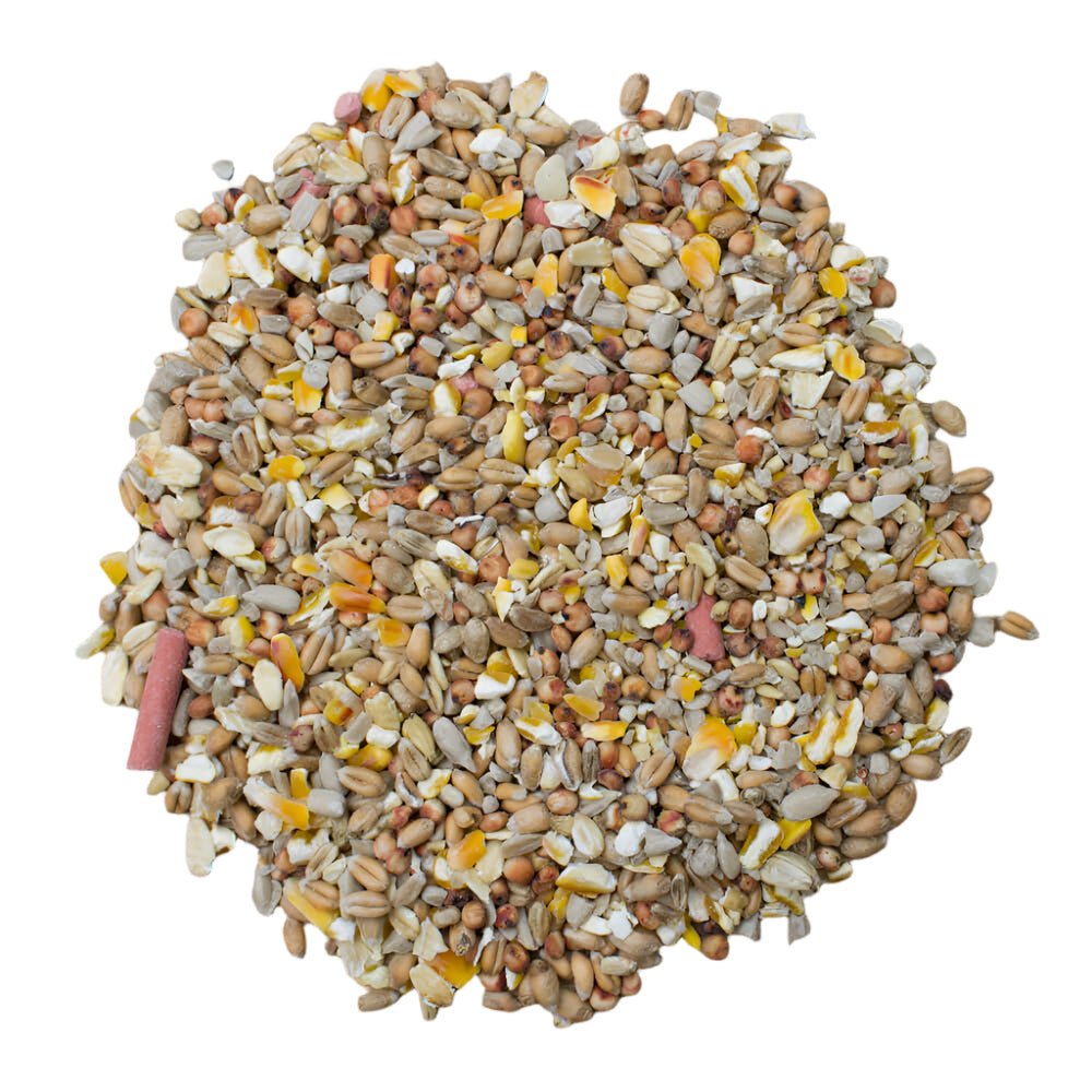 photo of pile of Extra Select No Grow Wild Bird Food